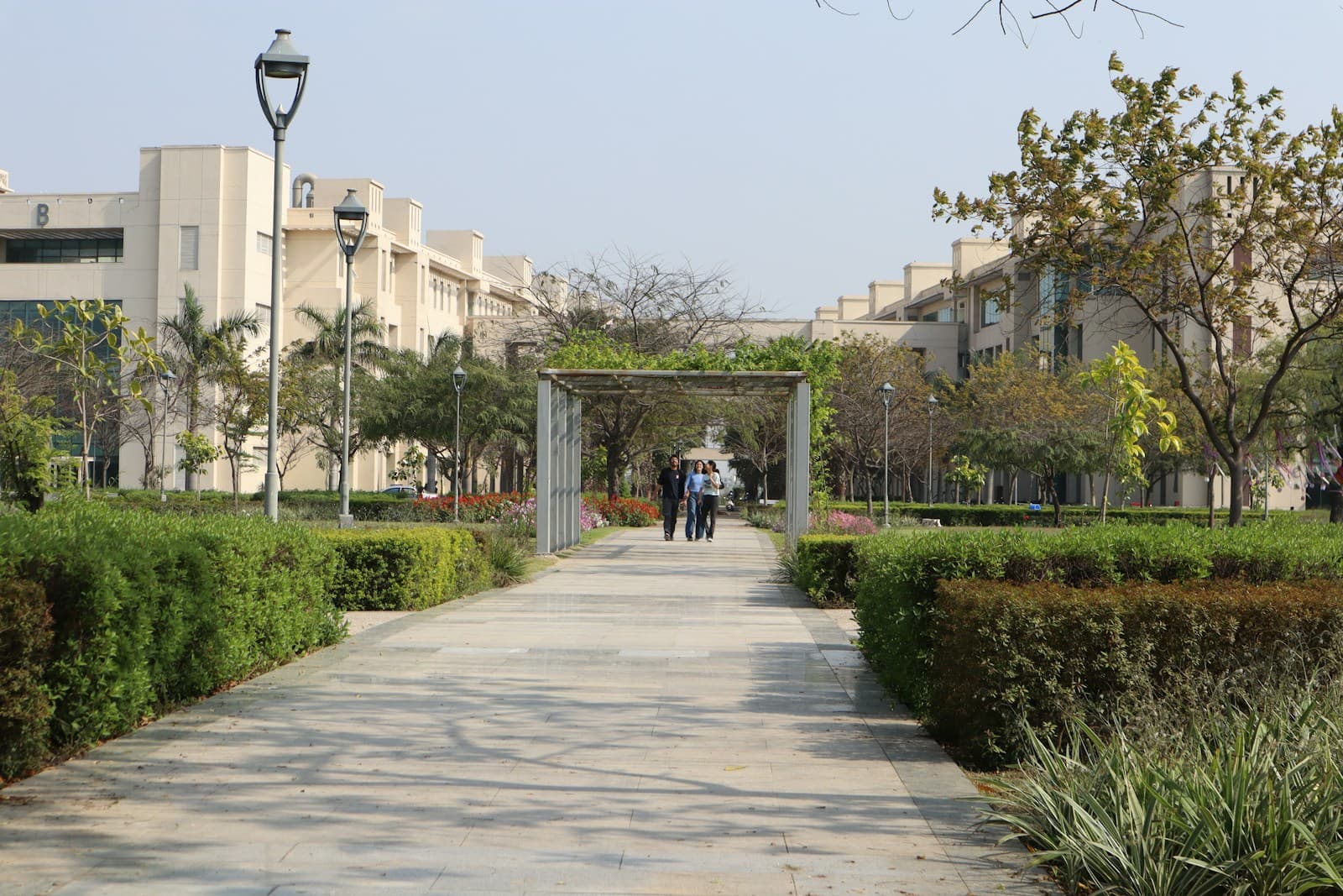 People walking together along a tree-lined university campus path